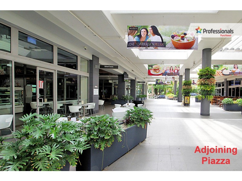 19/20 MATTHEWS Street, Punchbowl NSW 2196