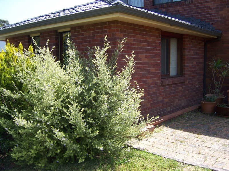 18 Tasman Road, St Georges Basin NSW 2540