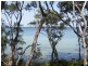 62A Greville Avenue, Sanctuary Point NSW 2540
