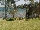 9 Walmer Avenue, Sanctuary Point NSW 2540