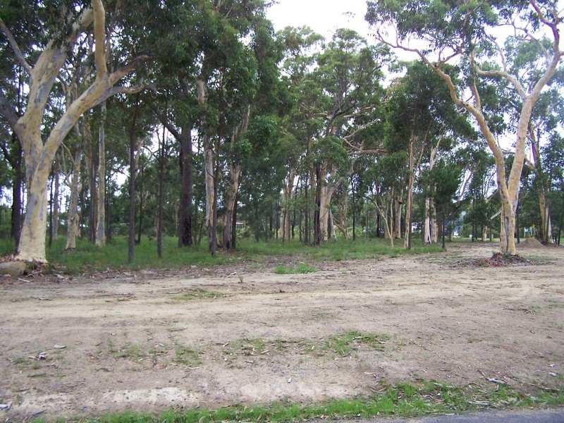 Lot 1 / 12 Wandypark Road, Wandandian NSW 2540