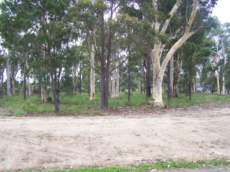 Lot 1 / 12 Wandypark Road, Wandandian NSW 2540