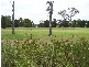 60 Fairway Drive, Sanctuary Point NSW 2540