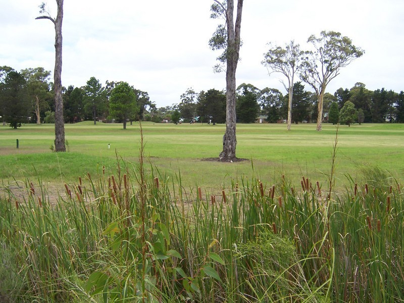 60 Fairway Drive, Sanctuary Point NSW 2540