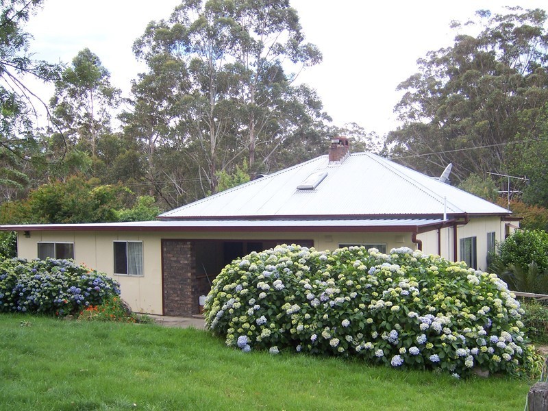 D3380 Princes Highway, Jerrawangala NSW 2540