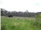 D3380 Princes Highway, Jerrawangala NSW 2540