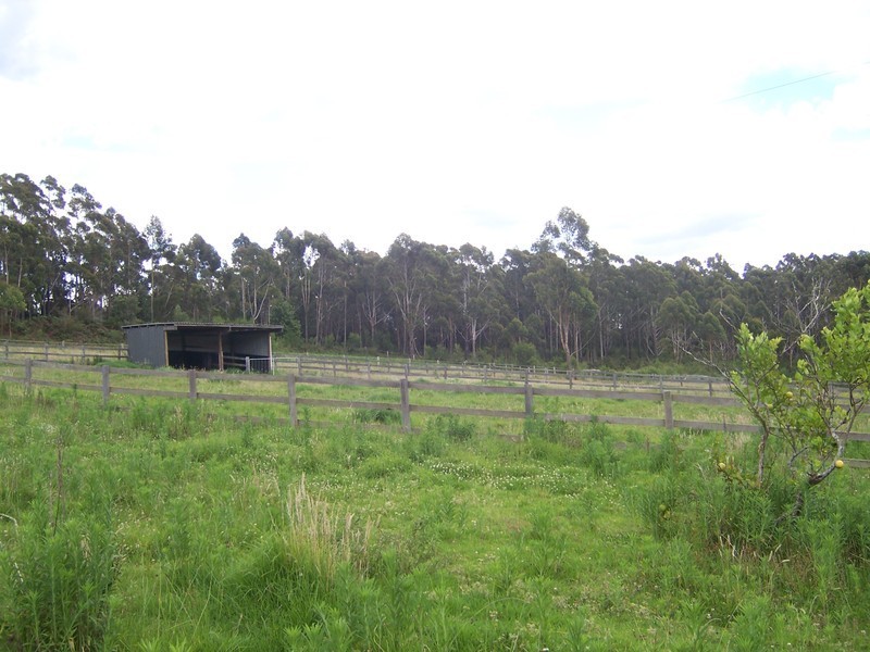 D3380 Princes Highway, Jerrawangala NSW 2540