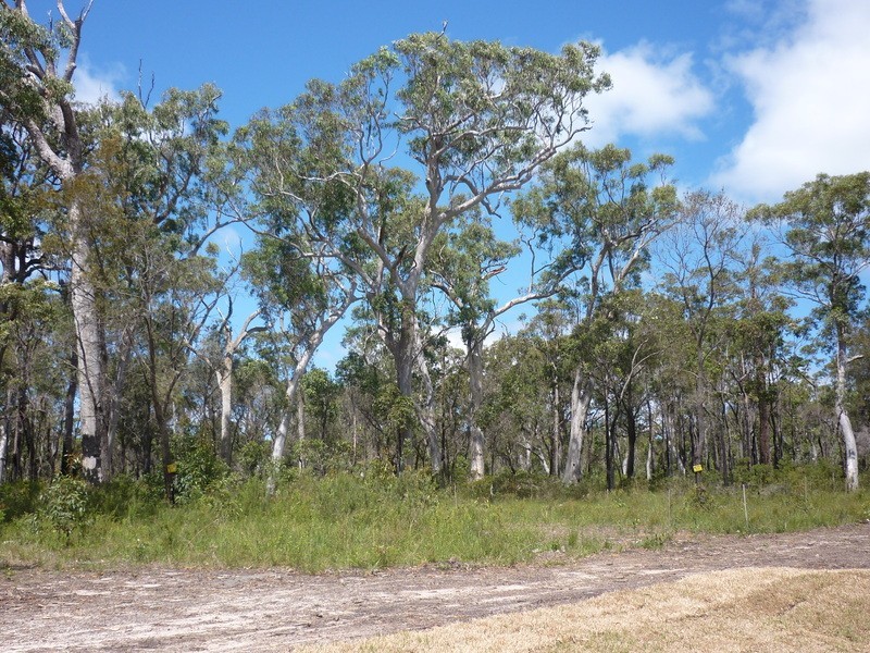 43 Chessell Road, St Georges Basin NSW 2540