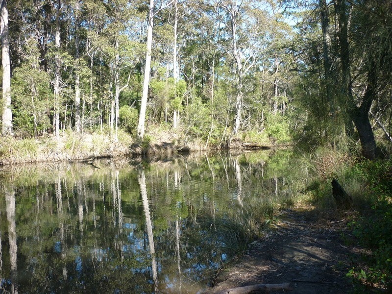 36 Mc Gowan Street, Old Erowal Bay NSW 2540