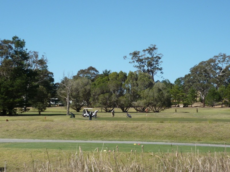 72 Fairway Drive, Sanctuary Point NSW 2540