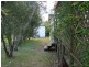 5 Shoreville Place, Sanctuary Point NSW 2540