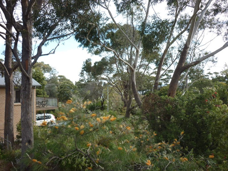 84 Greville Avenue, Sanctuary Point NSW 2540