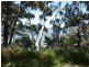 134 Greville Avenue, Sanctuary Point NSW 2540