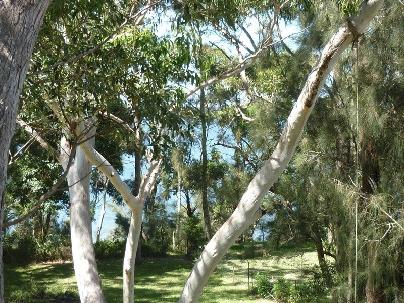 134 Greville Avenue, Sanctuary Point NSW 2540