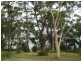 132 Greville  Avenue, Sanctuary Point NSW 2540
