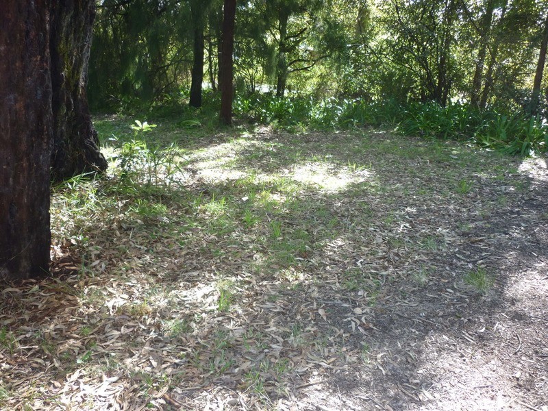 39 Lachlan Crescent, St Georges Basin NSW 2540
