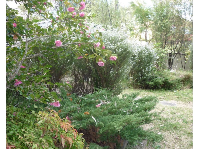 13 Boathaven Avenue, Basin View NSW 2540