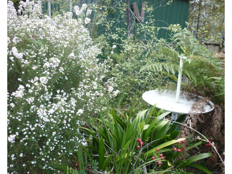 13 Boathaven Avenue, Basin View NSW 2540