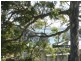 60 St Georges Road, St Georges Basin NSW 2540