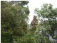 154 Frederick Street, Sanctuary Point NSW 2540