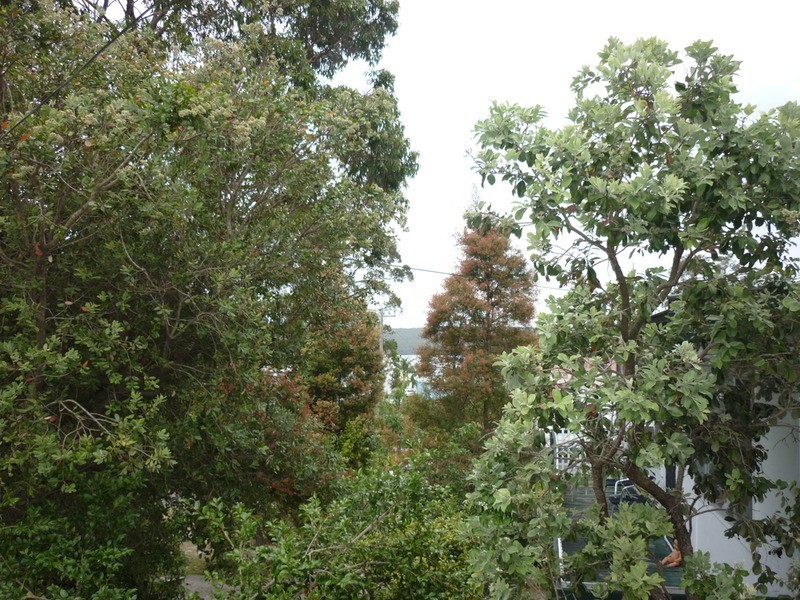 154 Frederick Street, Sanctuary Point NSW 2540