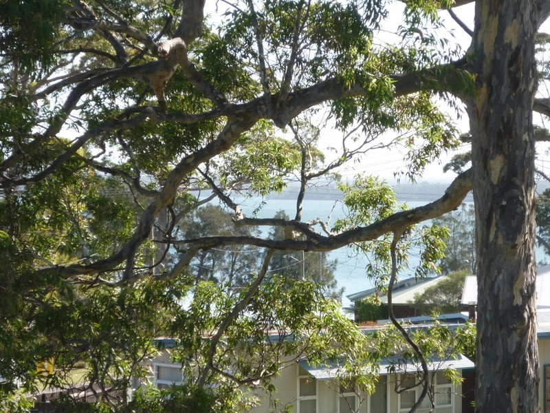 60 St Georges Road, St Georges Basin NSW 2540