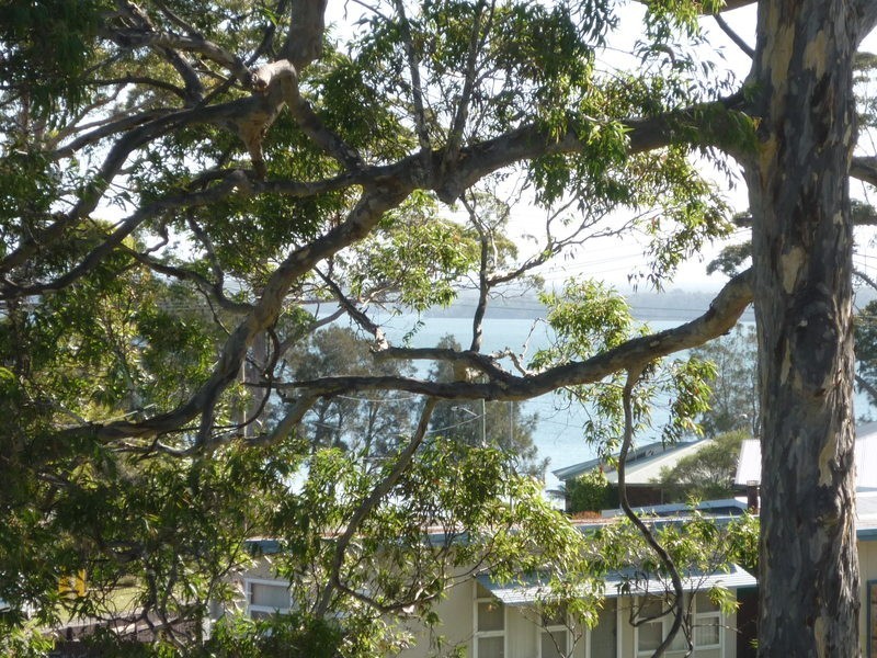 60 St Georges Road, St Georges Basin NSW 2540