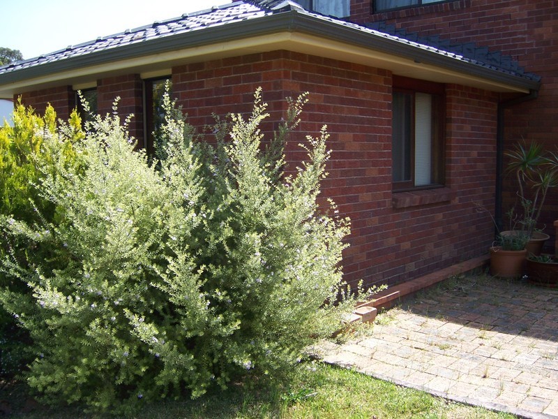 18 Tasman Road, St Georges Basin NSW 2540