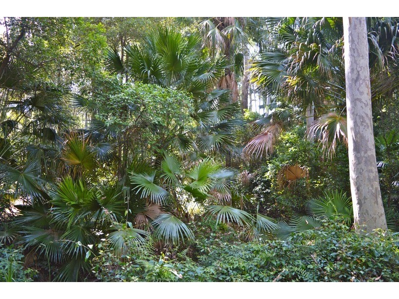 D1850 Princes Highway, Tomerong NSW 2540