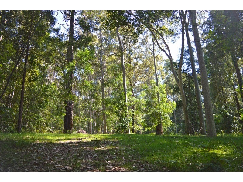 D1850 Princes Highway, Tomerong NSW 2540