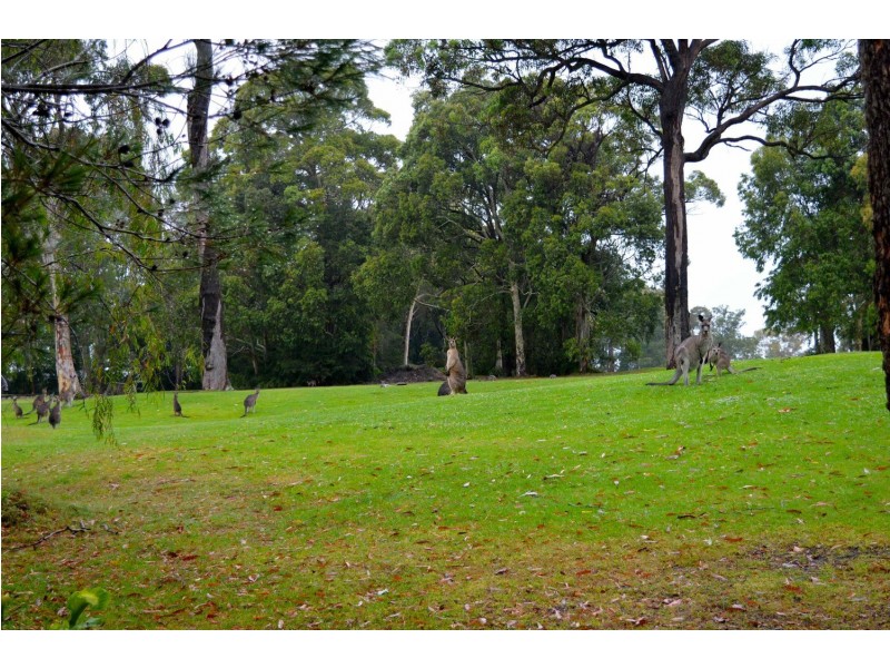 132 The Park Drive, Sanctuary Point NSW 2540