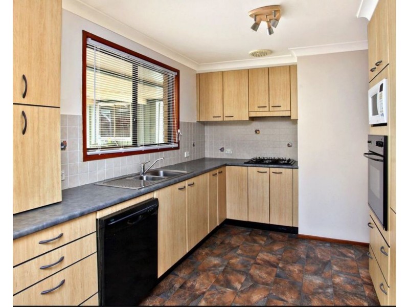 61 Solander Drive, St Clair NSW 2759