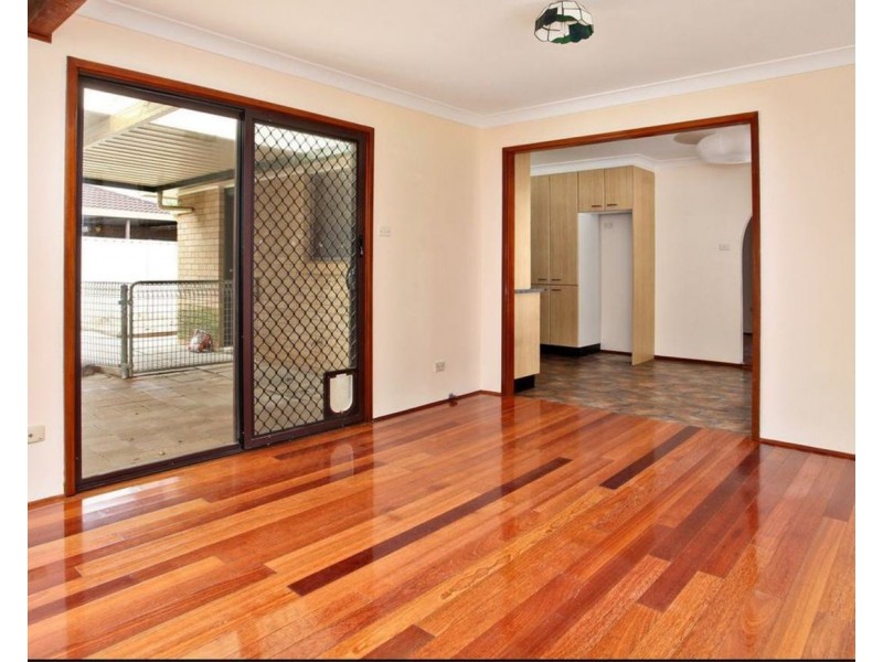 61 Solander Drive, St Clair NSW 2759