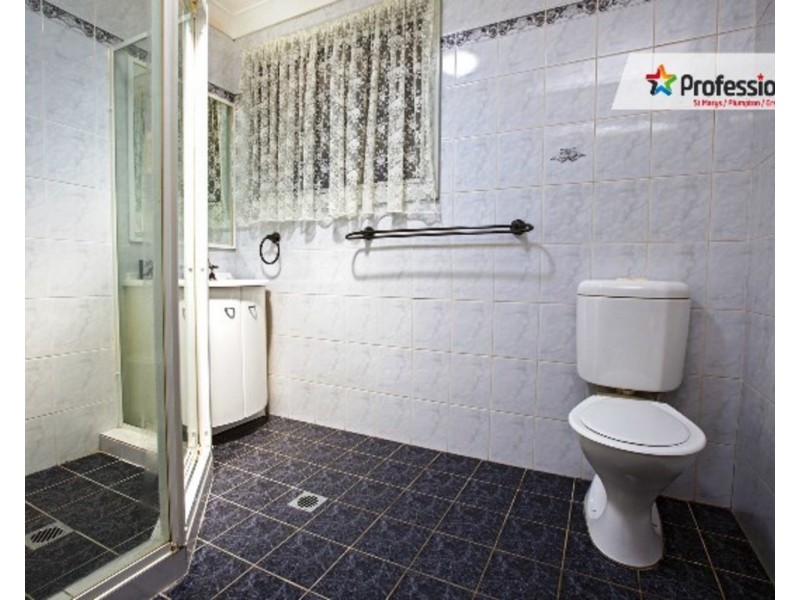 15 Huddleston Street, Colyton NSW 2760