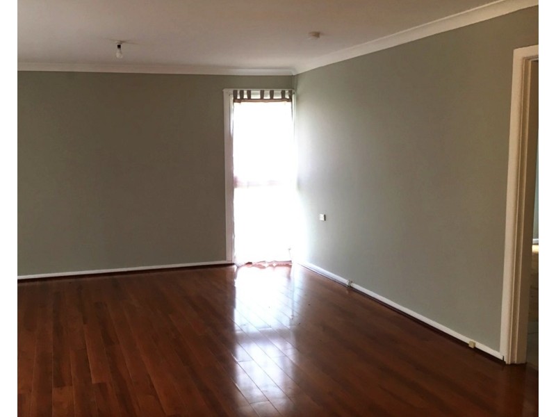 4 Mudie Place, Blackett NSW 2770