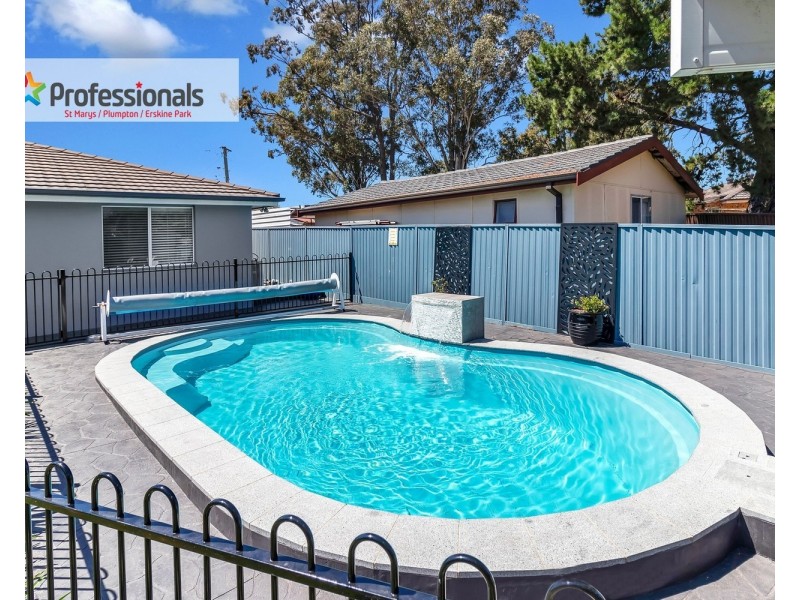 16 Darly Place, Dharruk NSW 2770