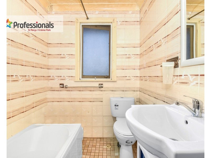 46 Sorensen Crescent, Blackett NSW 2770