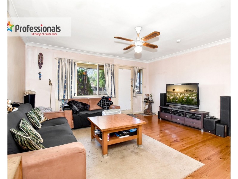 46 Sorensen Crescent, Blackett NSW 2770