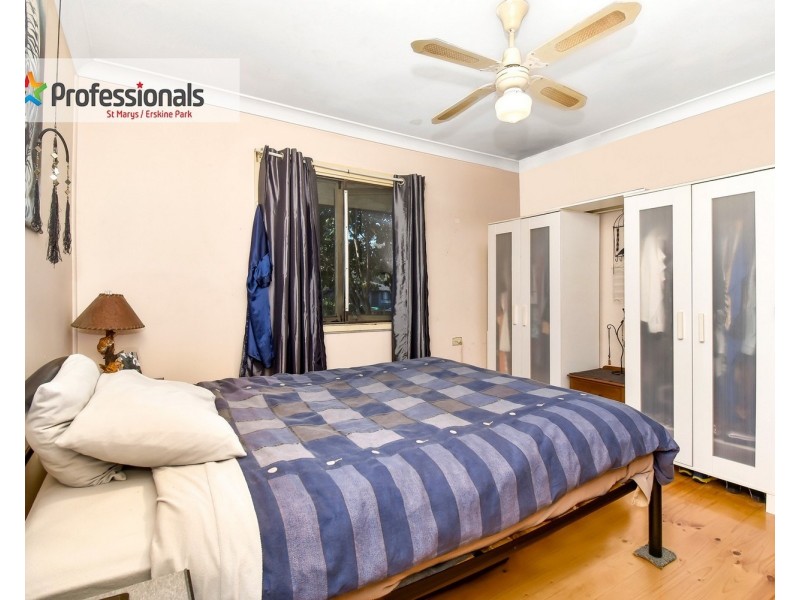 46 Sorensen Crescent, Blackett NSW 2770