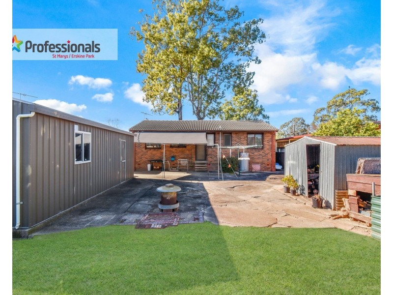 46 Sorensen Crescent, Blackett NSW 2770