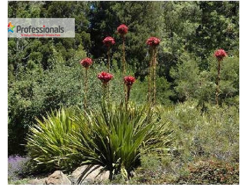 Lot 313 Tiger Street, Silverdale NSW 2752