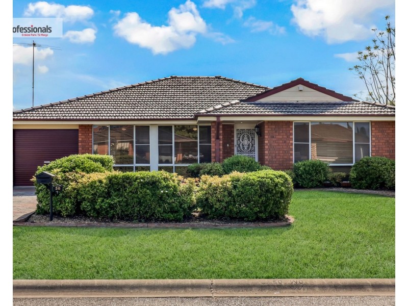 38 Dryberry Avenue, St Clair NSW 2759