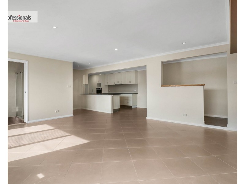 38 Dryberry Avenue, St Clair NSW 2759