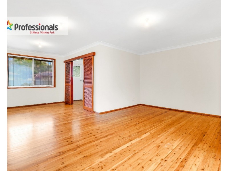 110 Torres Crescent, Whalan NSW 2770