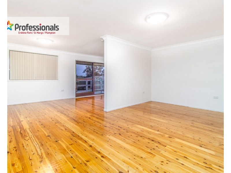 10 Kemerton Street, St Clair NSW 2759