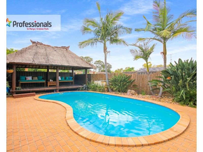 27 Amazon Place, St Clair NSW 2759