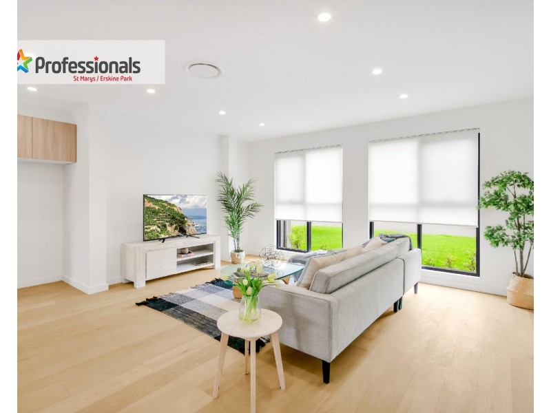 2/41  Olympus Drive, St Clair NSW 2759