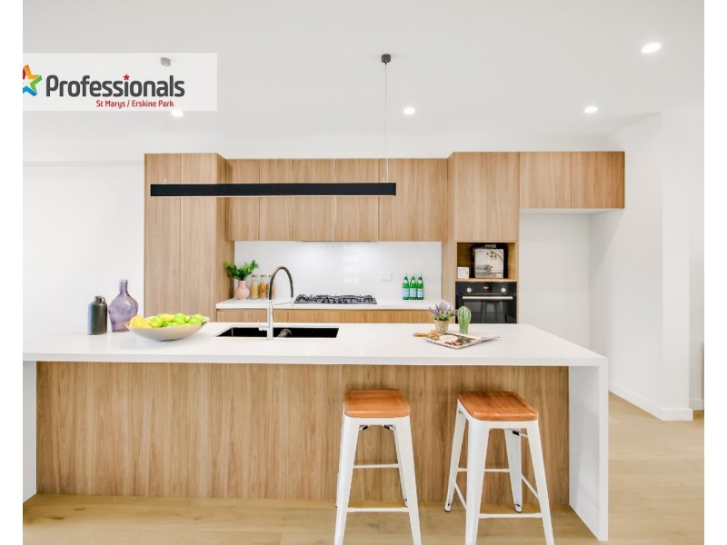 2/41  Olympus Drive, St Clair NSW 2759