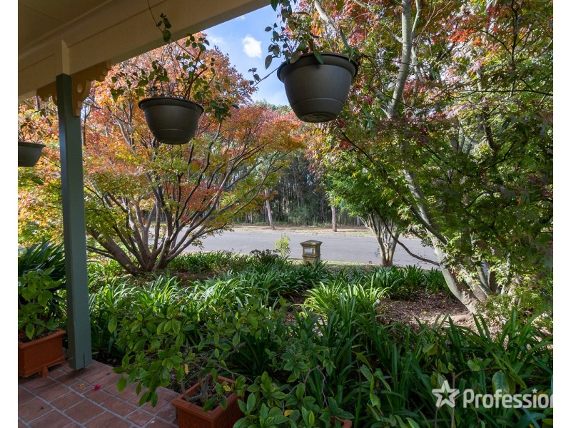 43 Alston Street, Glenmore Park NSW 2745