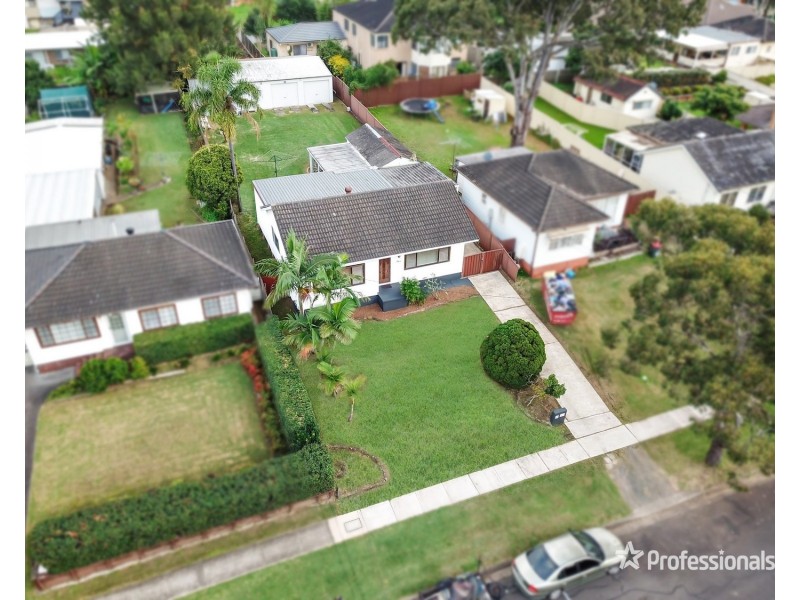 20 Dina Beth Avenue, Blacktown NSW 2148